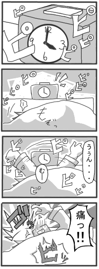zm